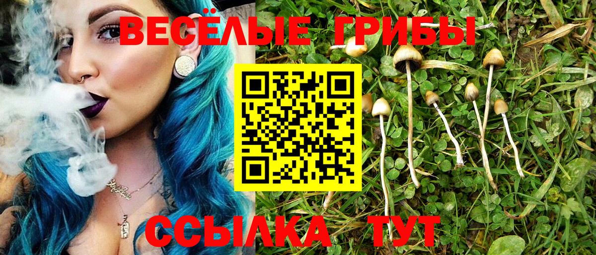 Псилоцибиновые грибы мухоморы Горячий Ключ